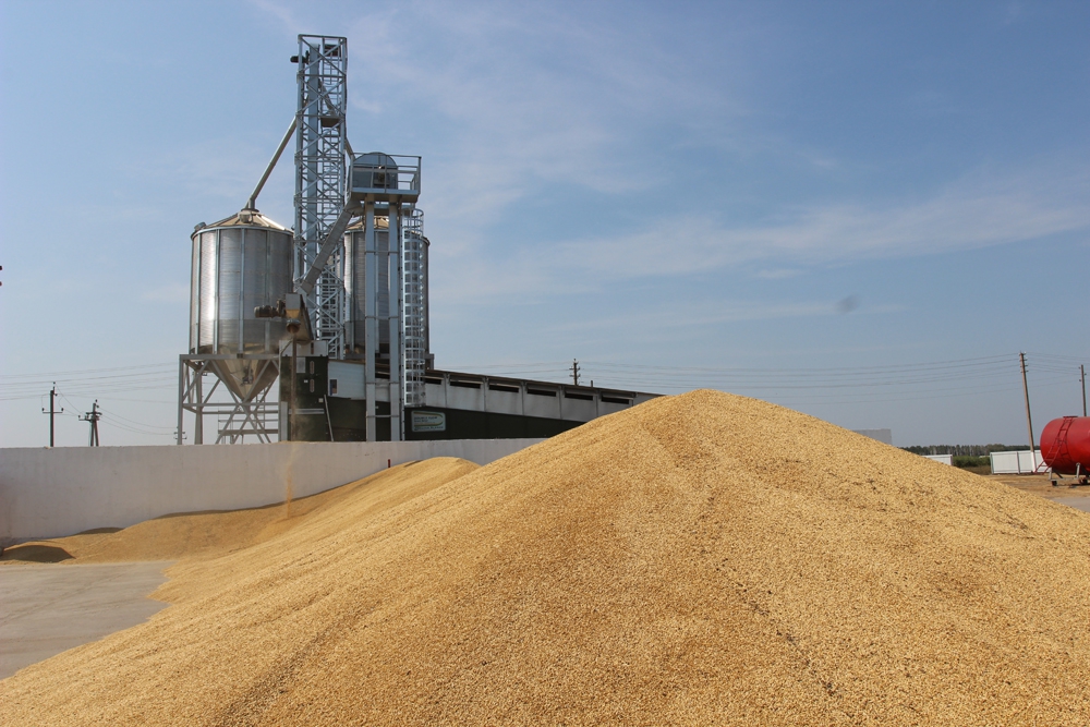 весы для зерноперерабатывающей промышленности